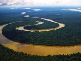 Стоя по Амазонке
