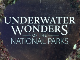 Подводные чудеса национальных парков