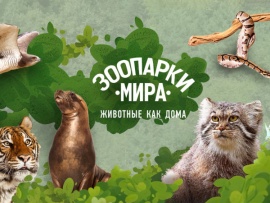 Зоопарки мира. Животные как дома