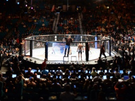 Fight Nights: На пределе