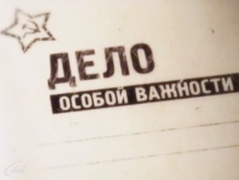 Дело особой важности