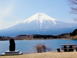 Вершина вкуса