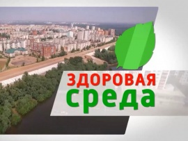 Здоровая среда