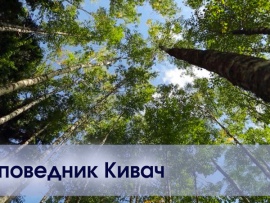 Природа России. Заповедник Кивач