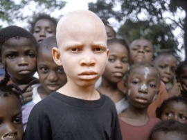 Белая Африка