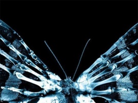 Эффект бабочки