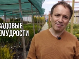Садовые премудрости