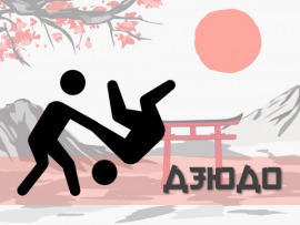 XXXII Летние Олимпийские игры. Дзюдо. Финалы