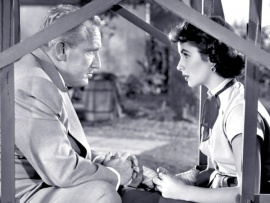 Маленький дивиденд отца