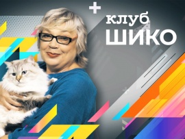 Клуб Шико