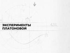 Эксперименты Платоновой