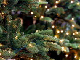 ОТРажение. Новый год