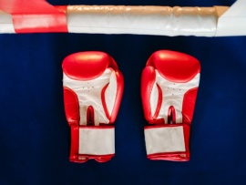 Бой за титул чемпиона мира по версии WBA. Прямая трансляция из Парижа