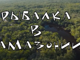 Рыбалка в Амазонии
