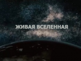 Живая вселенная