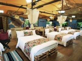 Звёзды в Африке (4)