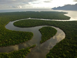 Дикая Малайзия