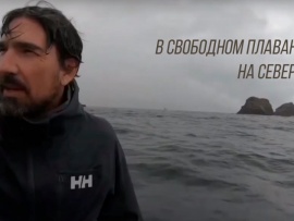 В свободном плавании: На север!