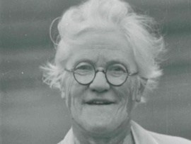 Тринадцать ночей