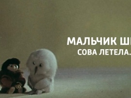 Мальчик шёл, сова летела