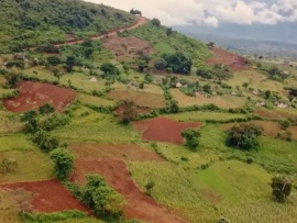 Проклятые рудники