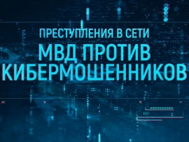 Преступления в сети: МВД против кибермошенников