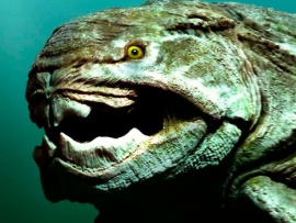 Гиганты животного мира. Мегалодон — ничтожество