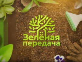 Зеленая передача