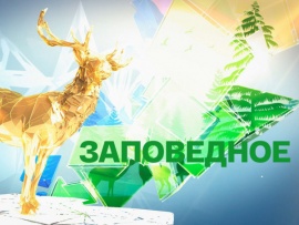 Заповедное