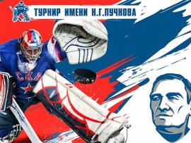 Турнир имени Н.Г. Пучкова