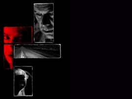 Мистер вселенная