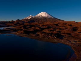 Дикая природа Чили