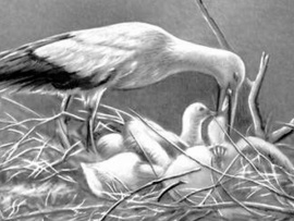 История одного кольца