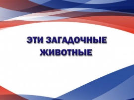Эти загадочные животные