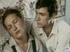 Рябиновые ночи