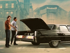 Под прикрытием