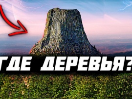 Кто уничтожил леса? Об этом запрещено говорить историкам!