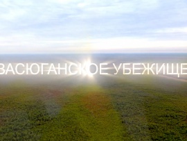 Васюганское убежище
