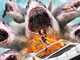 Нападение шестиголовой акулы