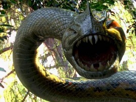 Пираньяконда