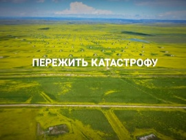 Пережить катастрофу