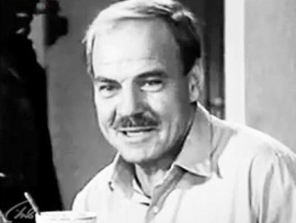 Птицы над городом