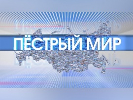 Пёстрый мир (2)