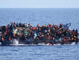 Мигранты: естественный отбор