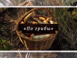 По грибы