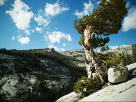 Национальные парки