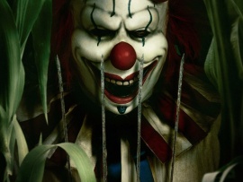 Кровавый урожай