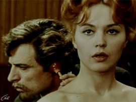 Цветы запоздалые