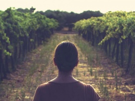 Рабочий день