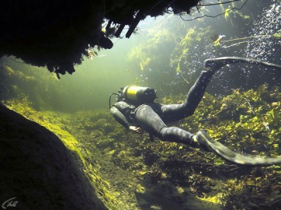 Подводный мир Окаванго